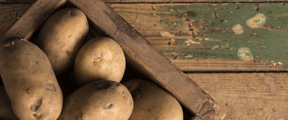 Как правильно хранить овощи дома: секреты свежести картофеля