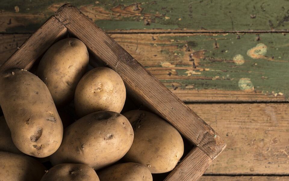 Как правильно хранить овощи дома: секреты свежести картофеля