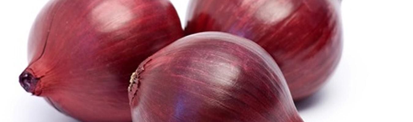 Выращивание лука: секреты и тонкости для вашего сада