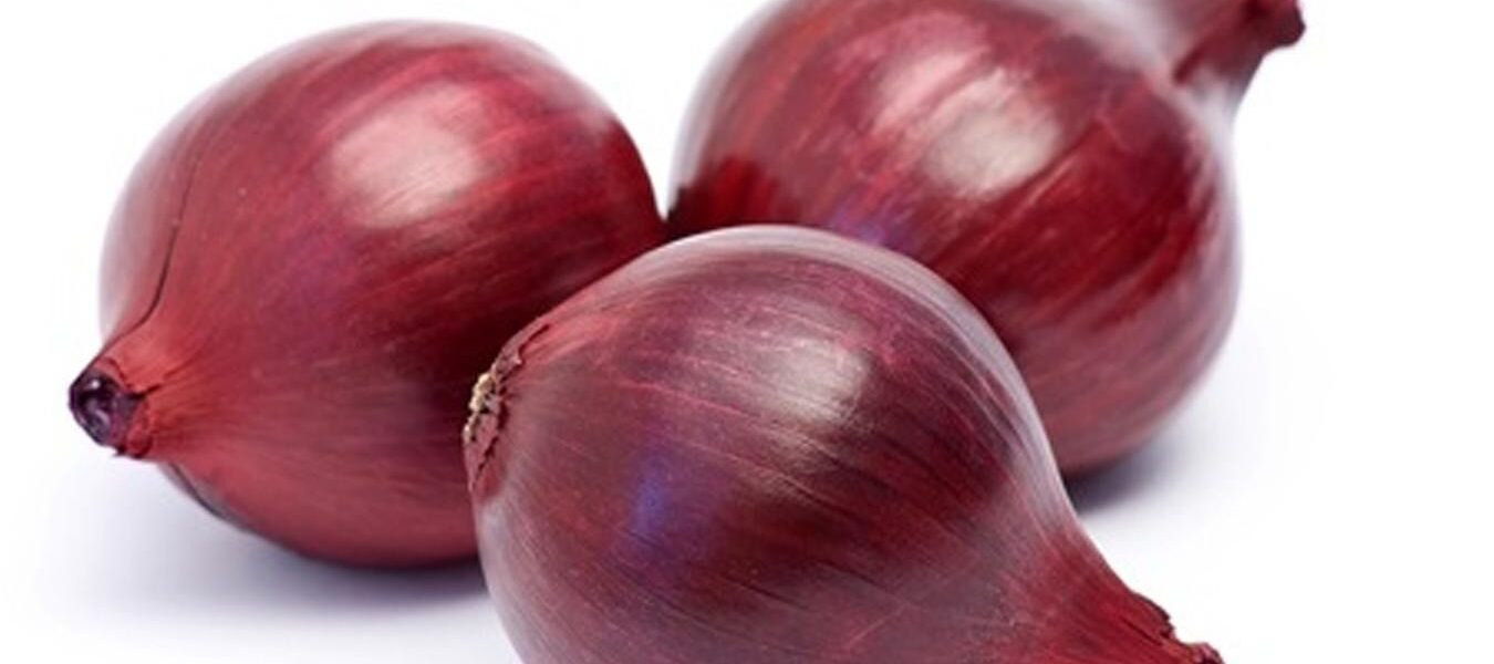 Выращивание лука: секреты и тонкости для вашего сада