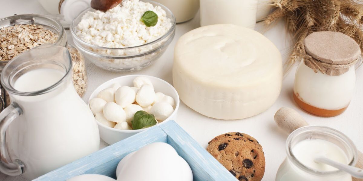 Влияние отказа от молочных продуктов на организм: что нужно знать