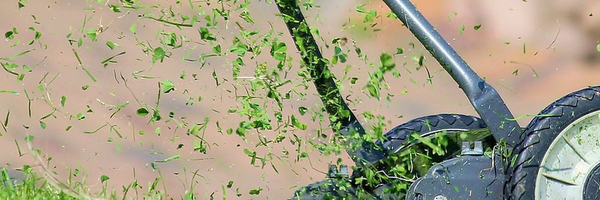 Осенняя стрижка газона: секреты идеального сада