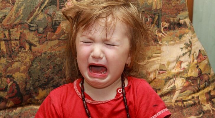 Лайфхаки для комфортной работы с деревом: как избежать слез и раздражения