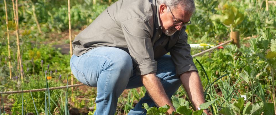 Необычные удобрения для вашего сада: секреты из холодильника
