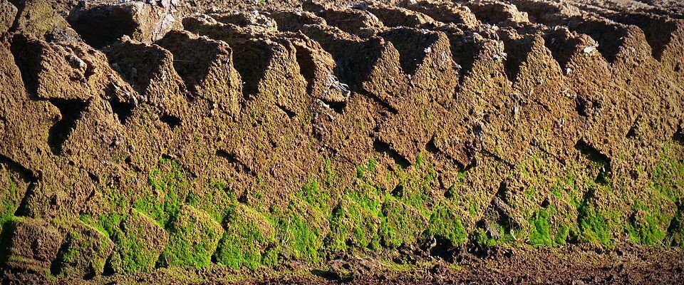 Торф в ландшафтном дизайне: практические советы для вашего сада