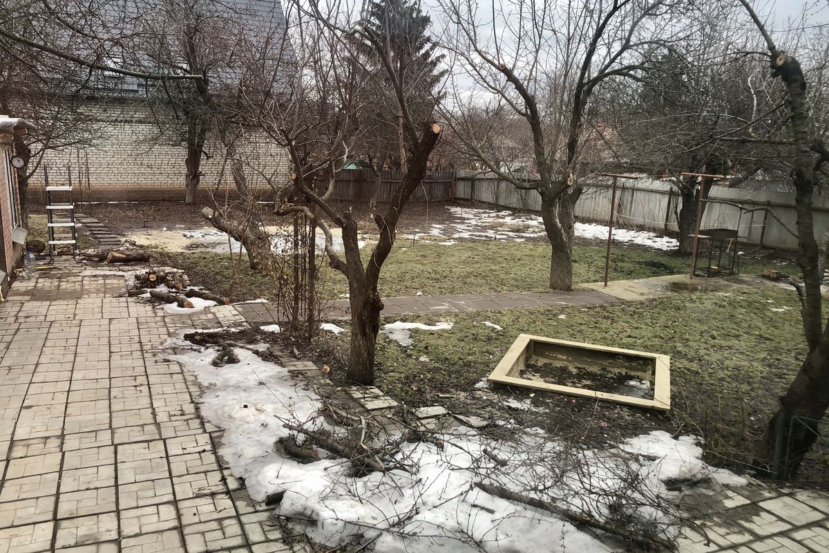 Весенние хлопоты в саду: три важных дела перед теплом