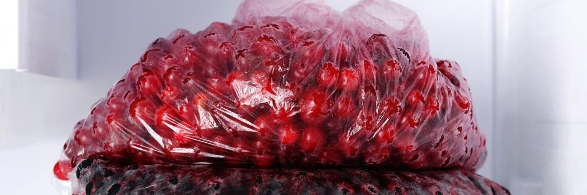 Замораживание ягод: как сохранить урожай черной и красной смородины для вашего сада