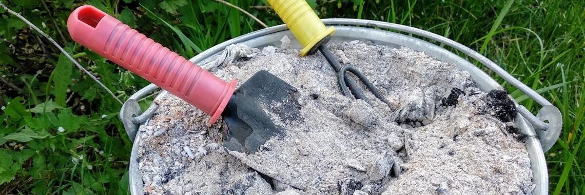 Деревний попіл: чому він може нашкодити вашим рослинам і як уникнути втрати врожаю