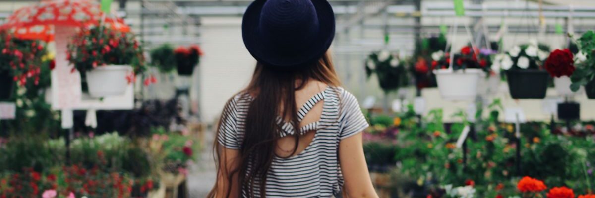 Как выбрать комнатные растения: 7 советов для начинающих дизайнеров интерьера