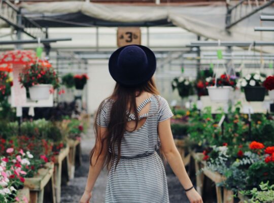 Как выбрать комнатные растения: 7 советов для начинающих дизайнеров интерьера