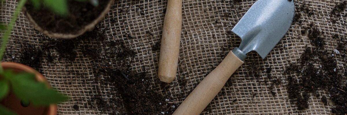 Создание идеального грунта для томатов: секреты домашнего садоводства