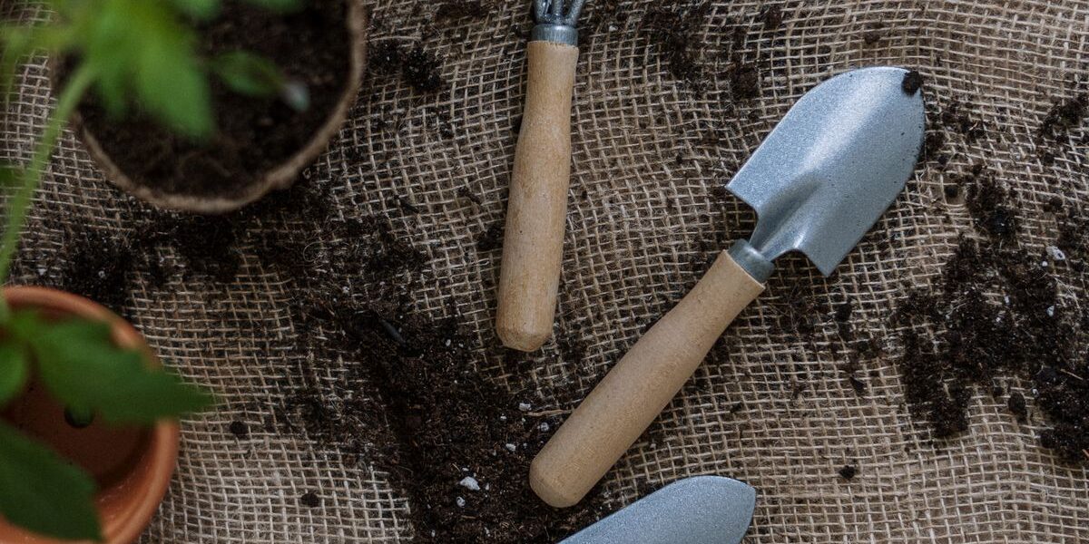 Создание идеального грунта для томатов: секреты домашнего садоводства