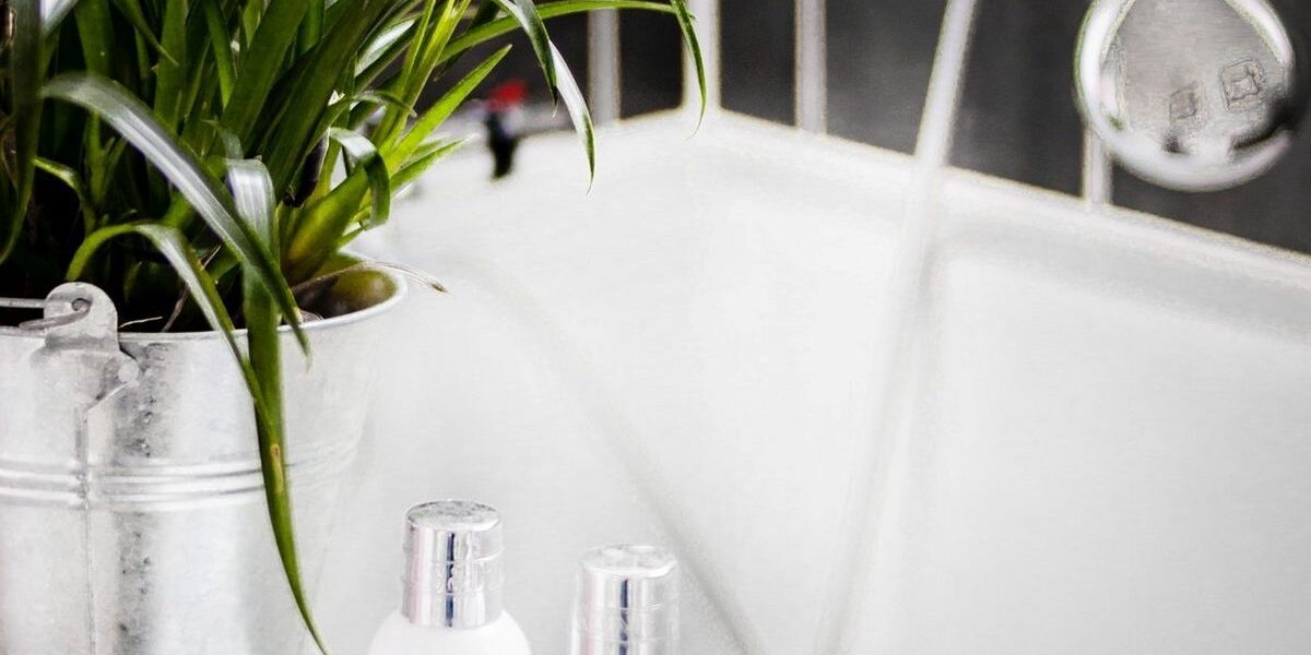 Уход за растениями: зачем нужен горячий душ и как его проводить правильно