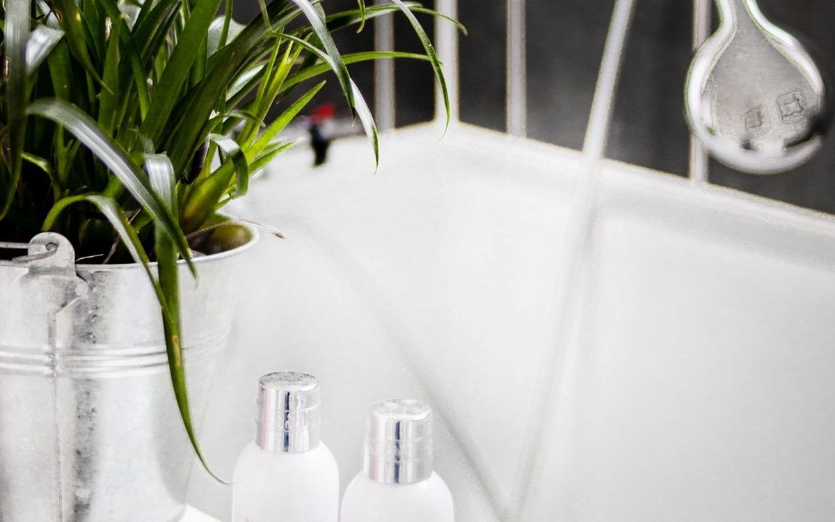 Уход за растениями: зачем нужен горячий душ и как его проводить правильно