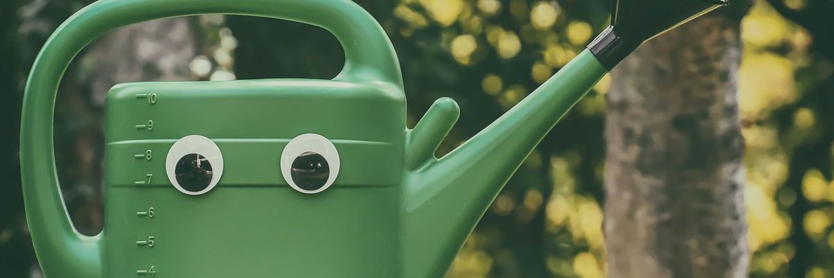 Секреты ухода за смородиной: как кипяток улучшит урожай